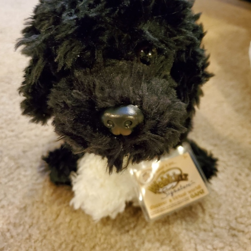 Dog new signature Webkinz with tags sold separately